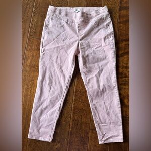 Pink ankle cropped pants 14